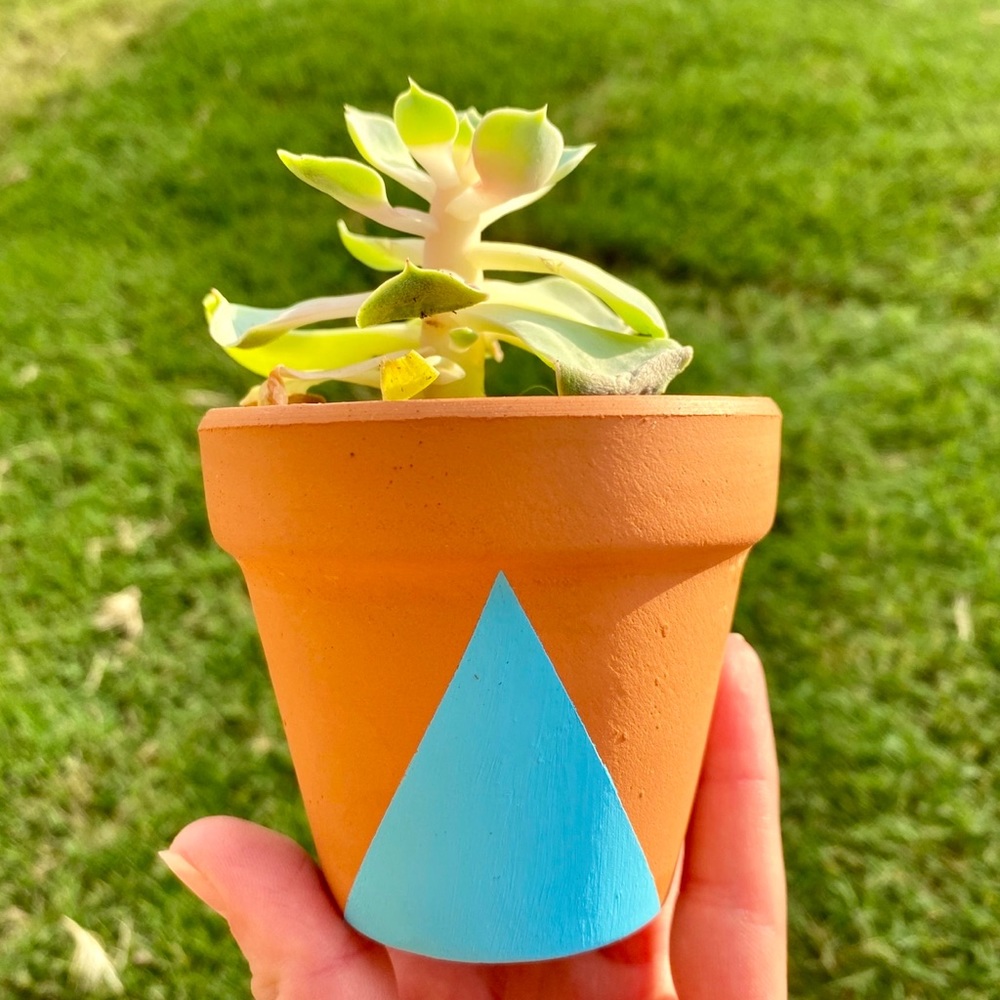 Succulent Pot